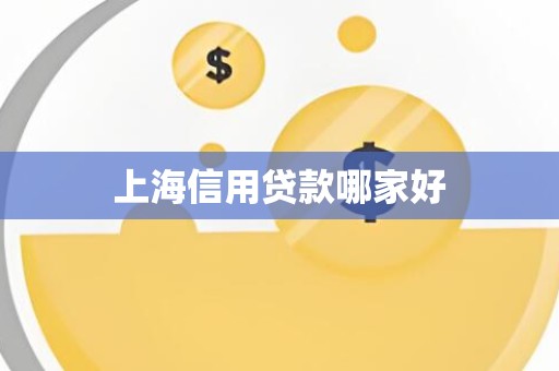 上海信用贷款哪家好