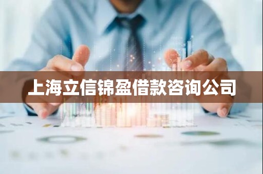 上海立信锦盈借款咨询公司