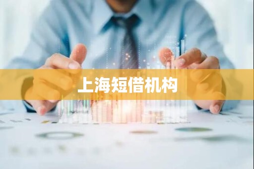 上海短借机构
