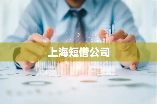上海短借公司 上海短借公司