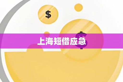 上海短借应急