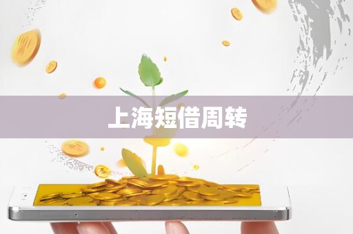 上海短借周转 上海短借周转