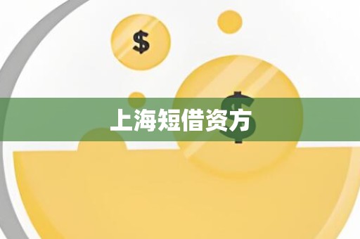 上海短借资方