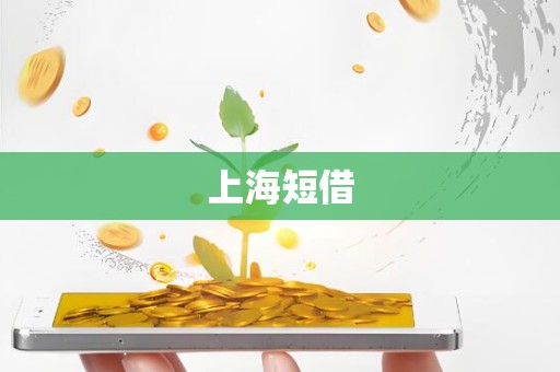 上海短借