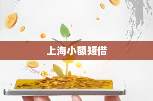 上海小额短借