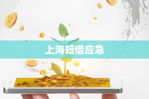 上海短借应急